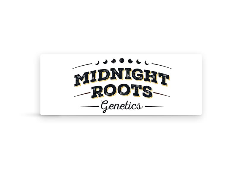 Midnight Roots | 200mg Full Moon Chocolate | Rich Dark Chocolate
