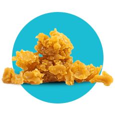 https://cannavate.nyc3.cdn.digitaloceanspaces.com/default.png https://cannavate.nyc3.cdn.digitaloceanspaces.com/default.png