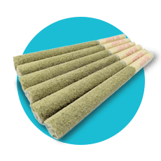 https://cannavate.nyc3.cdn.digitaloceanspaces.com/default.png https://cannavate.nyc3.cdn.digitaloceanspaces.com/default.png