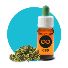https://cannavate.nyc3.cdn.digitaloceanspaces.com/default.png https://cannavate.nyc3.cdn.digitaloceanspaces.com/default.png