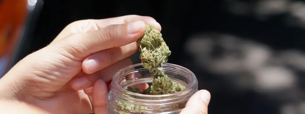 How Long Does Cannabis Flower Last? How Long Does Cannabis Flower Last?