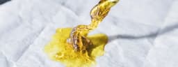 Cannabis Concentrates Cannabis Concentrates