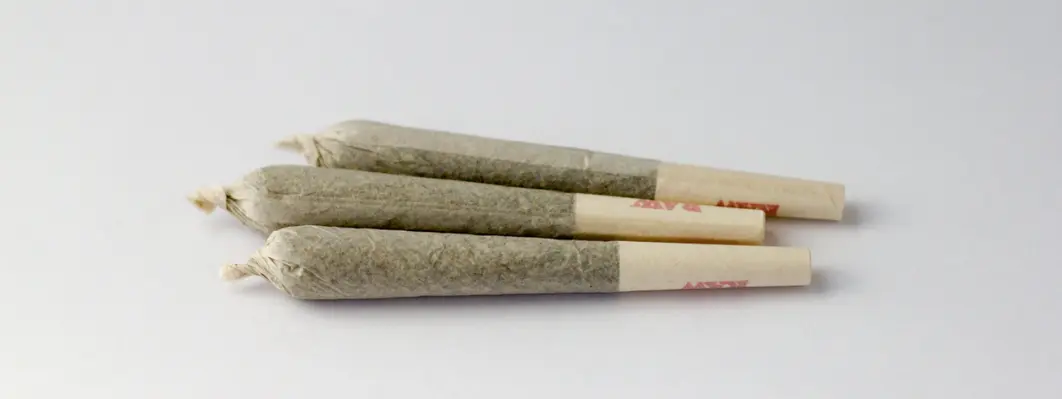 How to Store Pre Roll Joints How to Store Pre Roll Joints